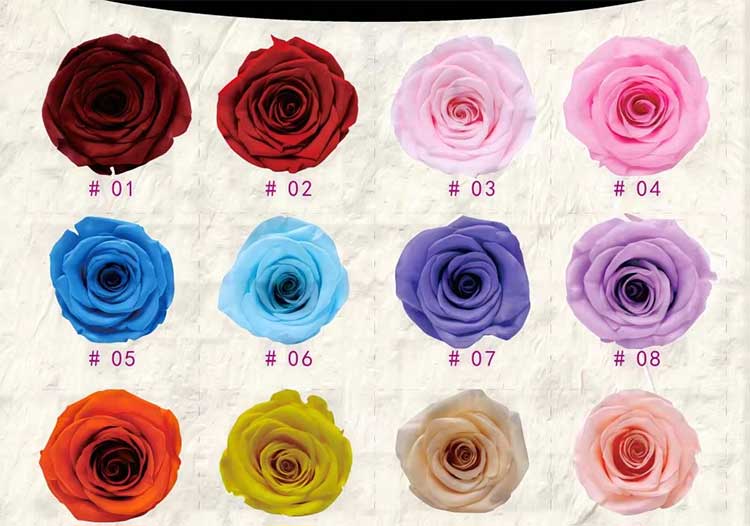 Rose Apple Double Opening Gift Box Factory