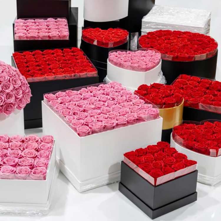 ရှောက်သီးပန်း ပွေ့ပုံး