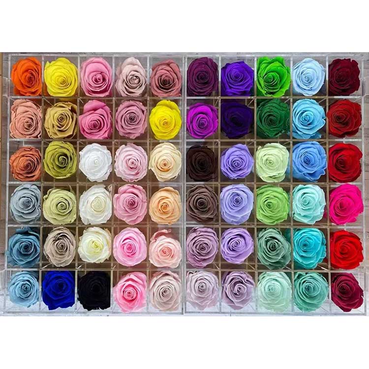 ထိန်းသိမ်းထားသောနှင်းဆီများ